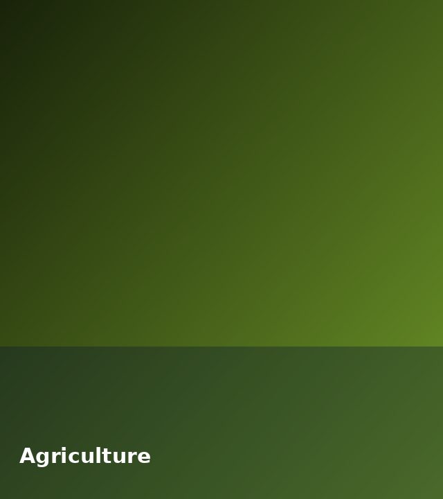 Agricultural produce ready for transport